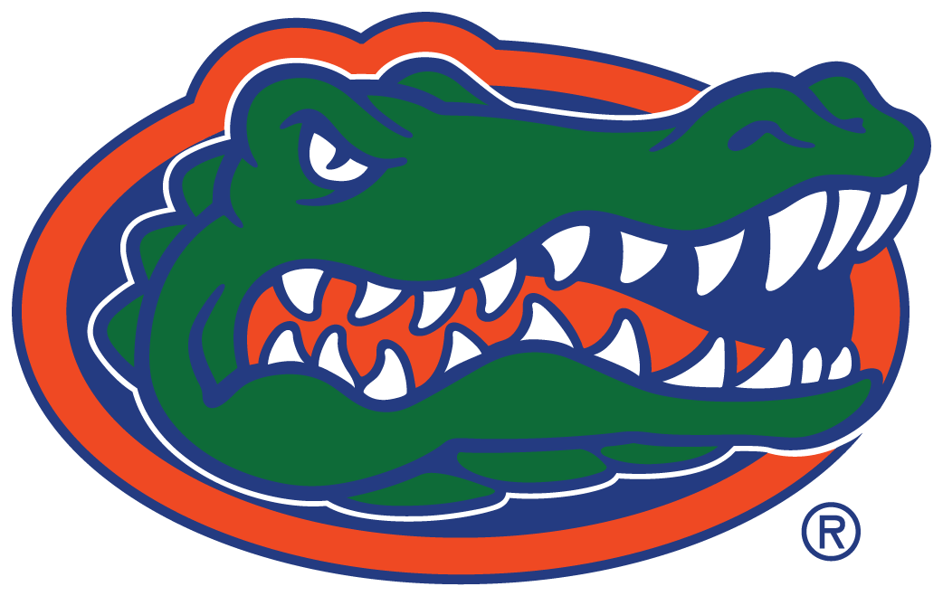 Florida Gators 2013-Pres Primary Logo diy DTF decal sticker